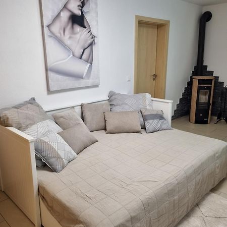 Appartment Im Untergeschoss Freilassing Zewnętrze zdjęcie